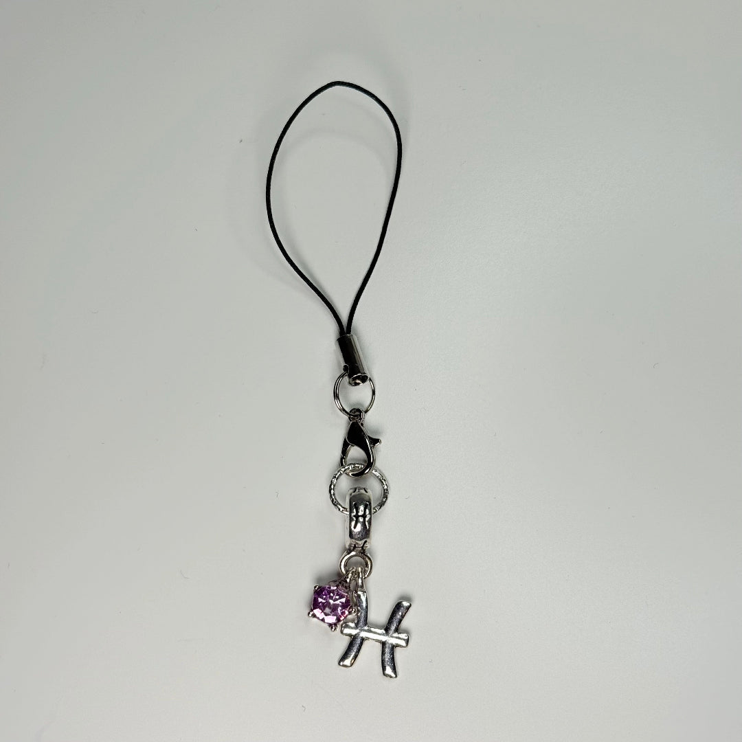 Zodiac Astrology Mini Phone Charm